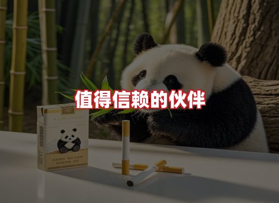 专业团队